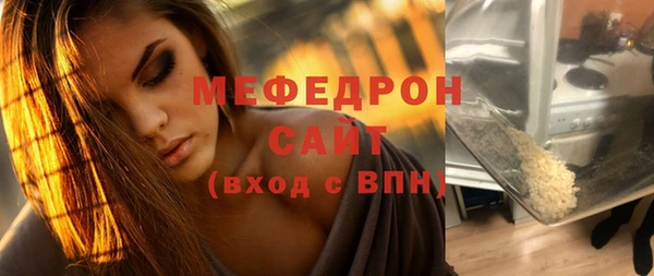 индика Богородицк