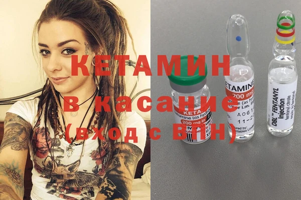 индика Богородицк