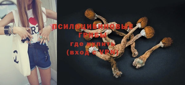марки lsd Богданович