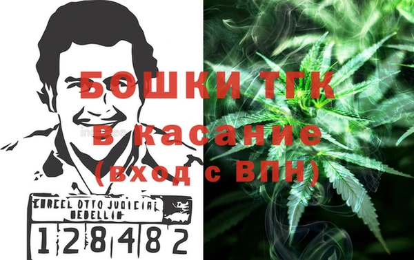 индика Богородицк