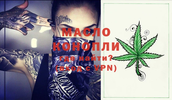 индика Богородицк