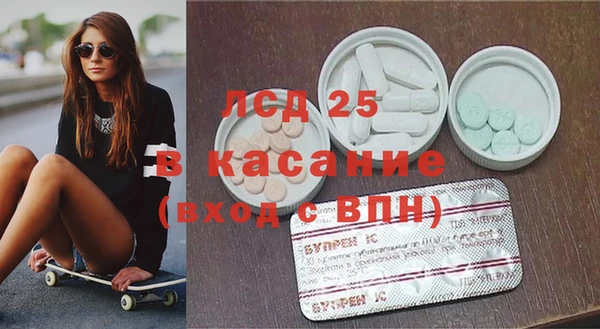 индика Богородицк