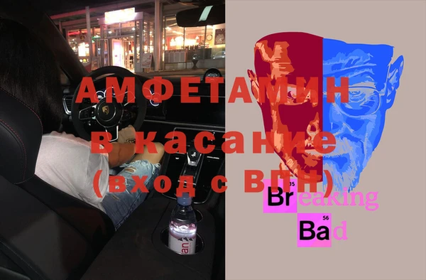 индика Богородицк