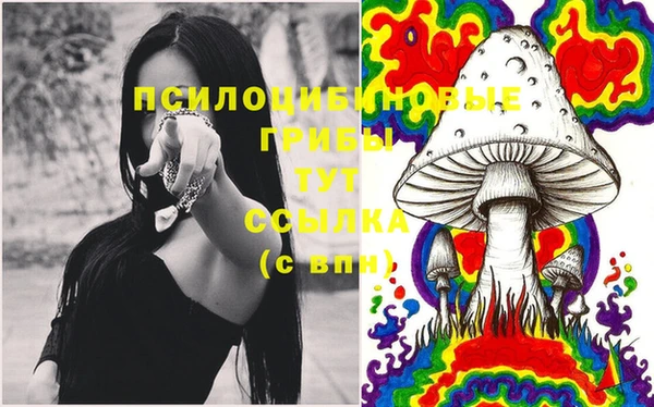 марки lsd Богданович