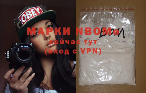 индика Богородицк