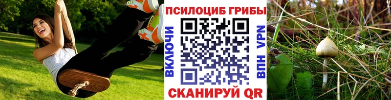 продажа наркотиков  Вельск  ОМГ ОМГ как войти  Галлюциногенные грибы Psilocybe 